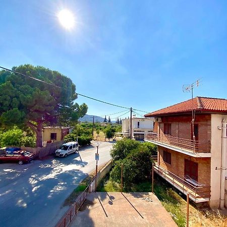 Dimitris Apartment 季亚科普通 外观 照片