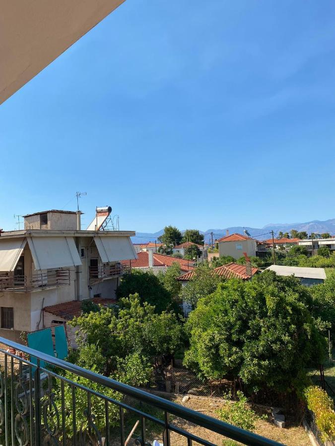 Dimitris Apartment 季亚科普通 外观 照片