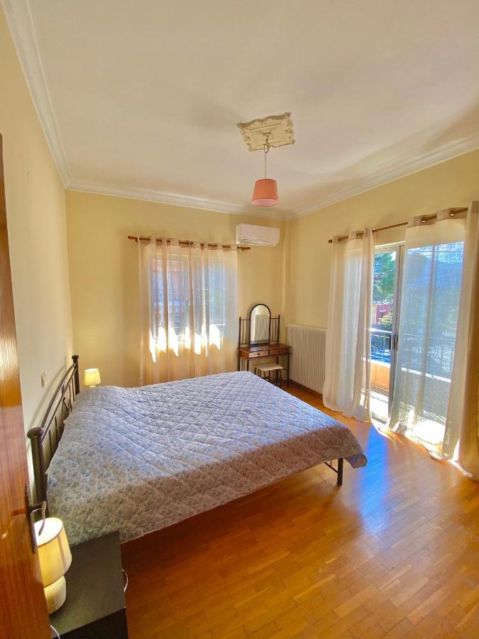 Dimitris Apartment 季亚科普通 外观 照片